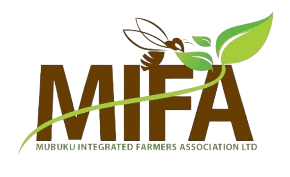 MIFA LOGO